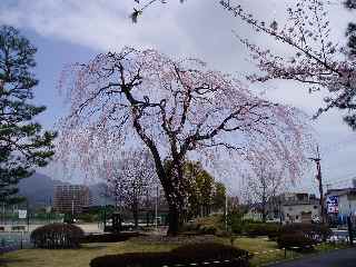 cqR^̂